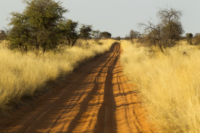 For five weeks, South Africa has been in coronavirus lockdown. u00e2u20acu2022 Istock.com/AFP pic