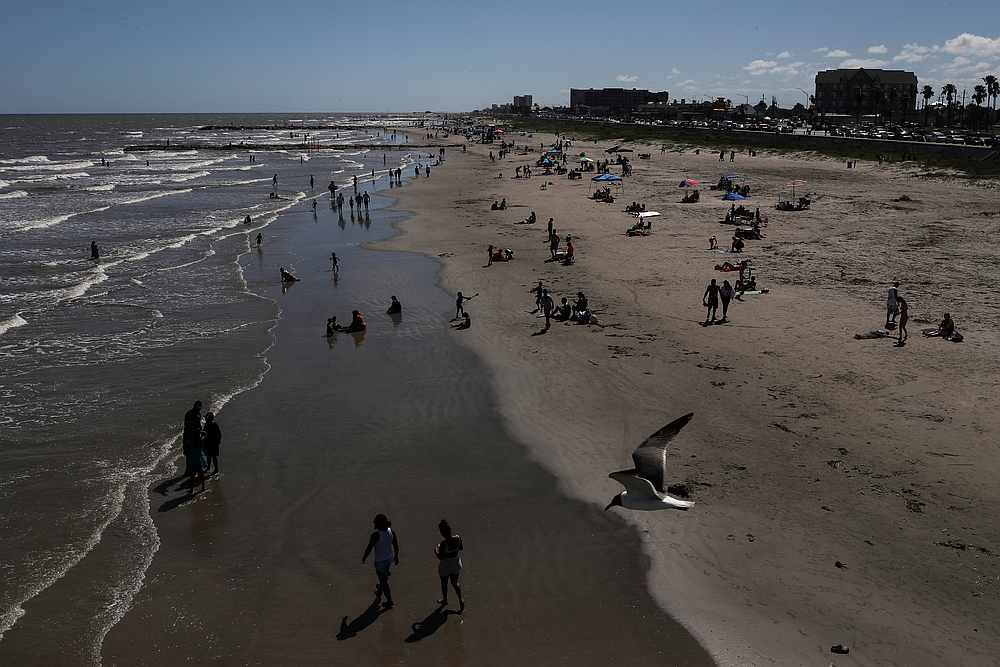 A seagull flies over beach goers after a state wide partial-reopening of the economy during the Covid-19 pandemic in Galveston, Texas May 3, 2020. u00e2u20acu201d Reuters pic