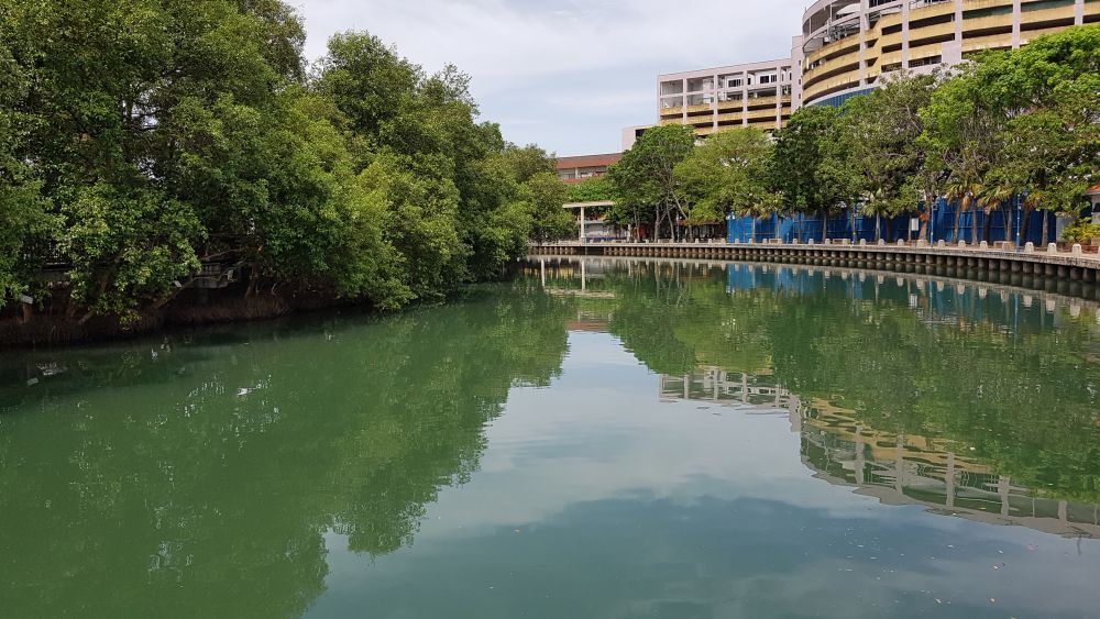 Khairi suggested that sustaining the condition of our river should be part of the new norms. — Picture courtesy of The Department of Irrigation and Drainage