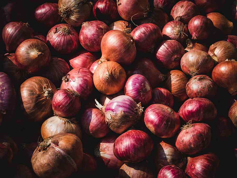The delivery man spent more than five hours to send one tonne of onions to Si's home in Shandong, China. u00e2u20acu201d Unsplash/Goh Rhy Yan pic