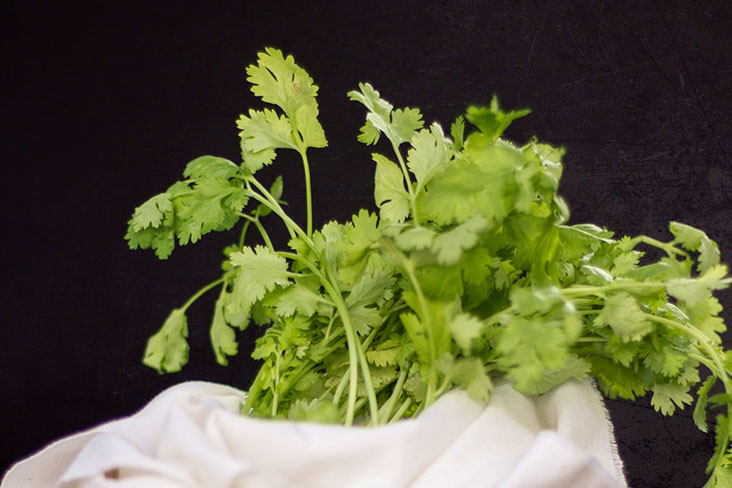 Fresh cilantro lifts this dish up, so use it if you have some