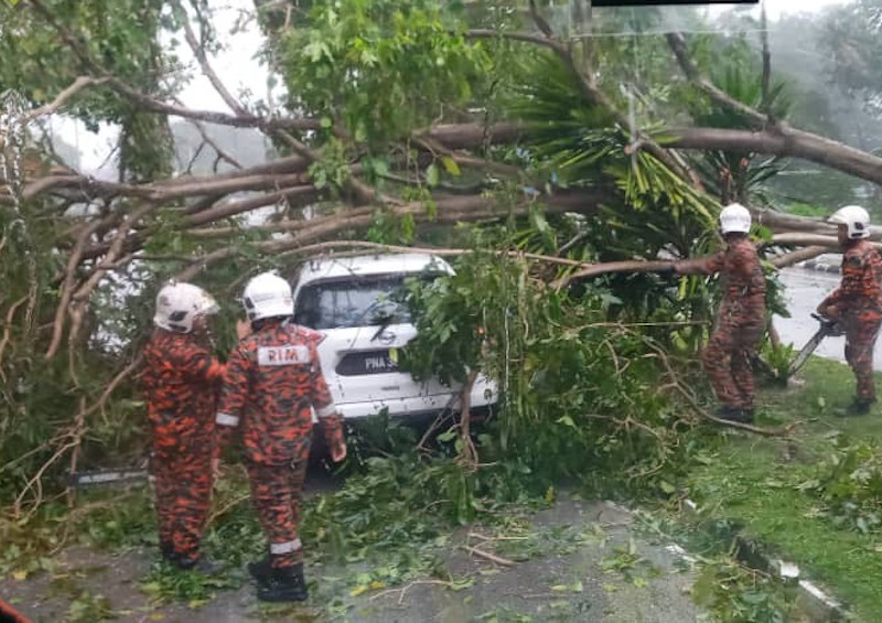 Fire and Rescue Department personnel removing a tree that fell on a vehicle along Jalan Hospital after heavy rain and strong winds in Ipoh, May 20, 2020. u00e2u20acu201d Picture courtesy of Ipoh Fire and Rescue Department