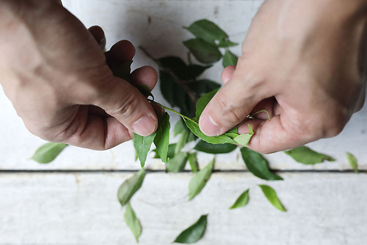 The intense aroma of fresh curry leaves is intoxicating.
