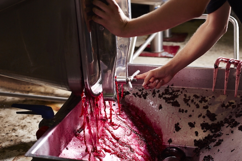 Wine sales and exports, particularly to the US, plunged at the height of the coronavirus crisis, leaving winemakers with millions of litres of unsold wine. u00e2u20acu201d Picture courtesy of Morsa Images / IStock.com