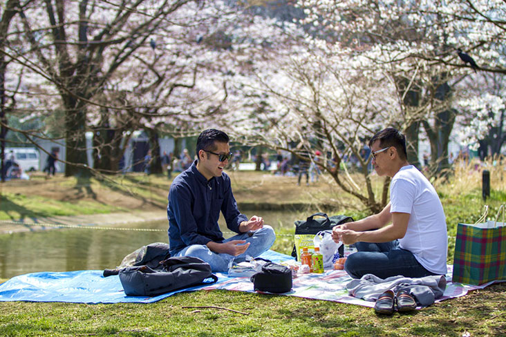 The cherry blossom season in Tokyo is extra special when a local friend invites you to a 'hanami' picnic