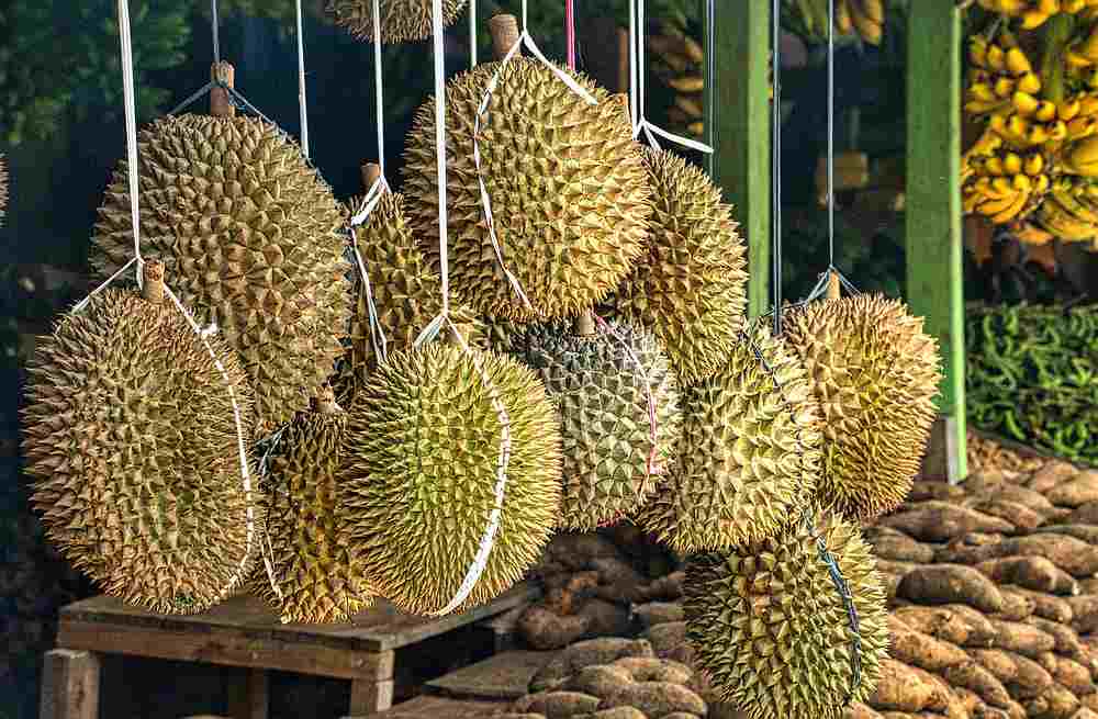 The pungent package that aroused suspicion from the town of Schweinfurt, Germany turned out to be full of durians. u00e2u20acu201d Pexels.com pic