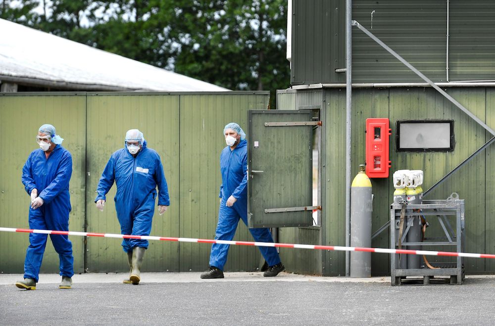 Workers in protective garments walk at a farm where minks were gassed, as the country continues a cull to prevent the animals from possibly infecting humans with the coronavirus disease (Covid-19), in De Mortel, Netherlands June 9, 2020. u00e2u20acu201d Reuters pic