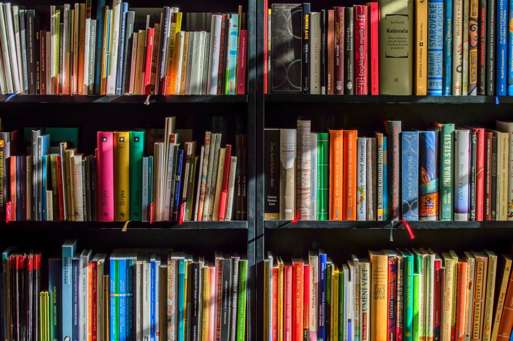A recent study by iPrice Group found that book interest among Malaysians dropped by 42 per cent during the MCO period.  u00e2u20acu201d  Pexels.com pic