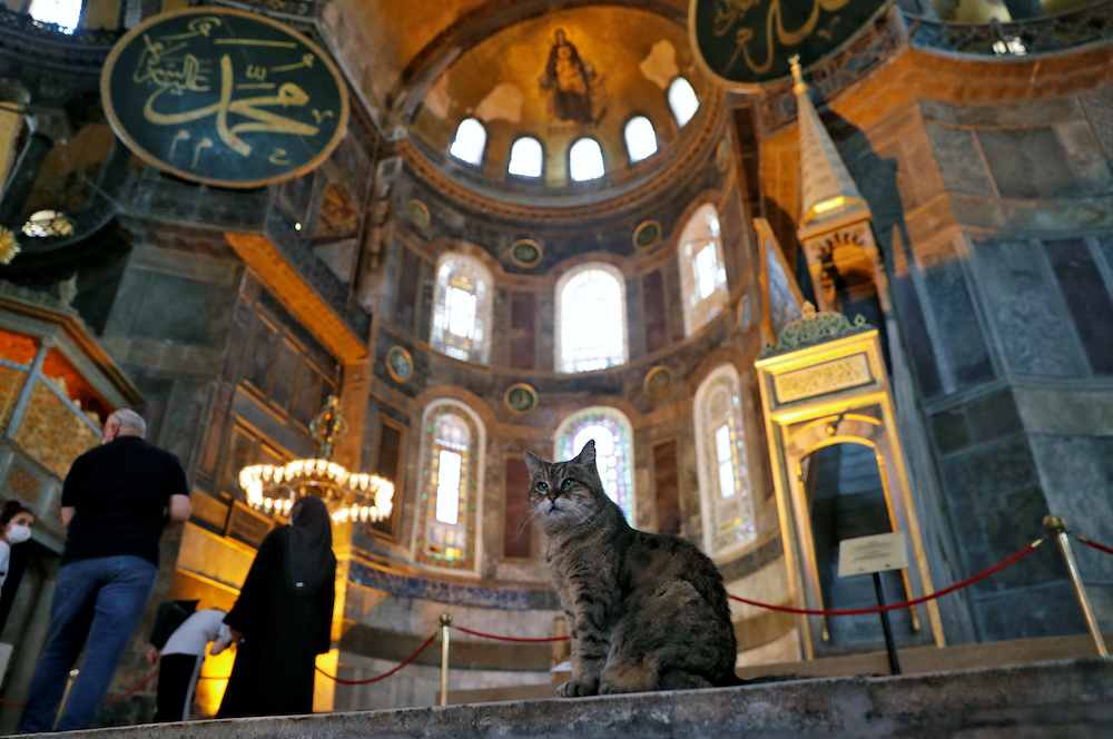 Gli the cat of Hagia Sophia or Ayasofya, a Unesco World Heritage Site which was a Byzantine cathedral before it was converted into a mosque and currently a museum, is pictured in Istanbul, Turkey, July 2, 2020. u00e2u20acu201d Reuters picnnn