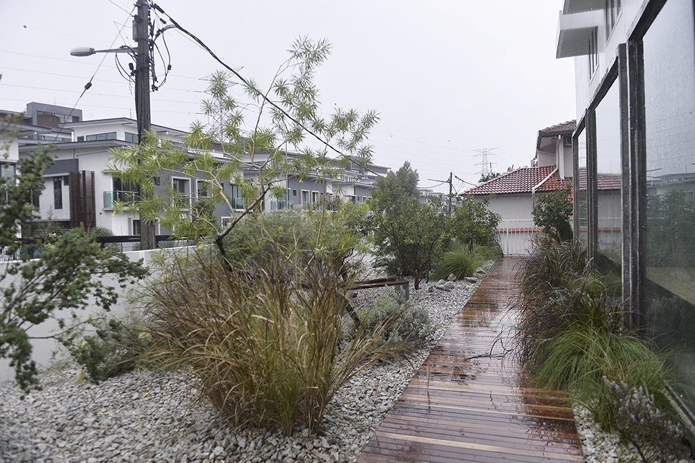 The garden outside Dou Dou is akin to wild desert brush... but artfully so.