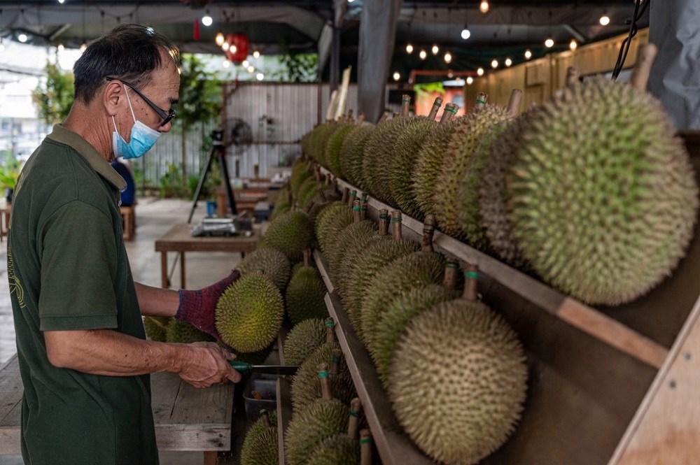 This picture taken on July 8, 2020 shows a worker inspecting the durians at a stall in Kuala Lumpur. u00e2u20acu2022 AFP pic