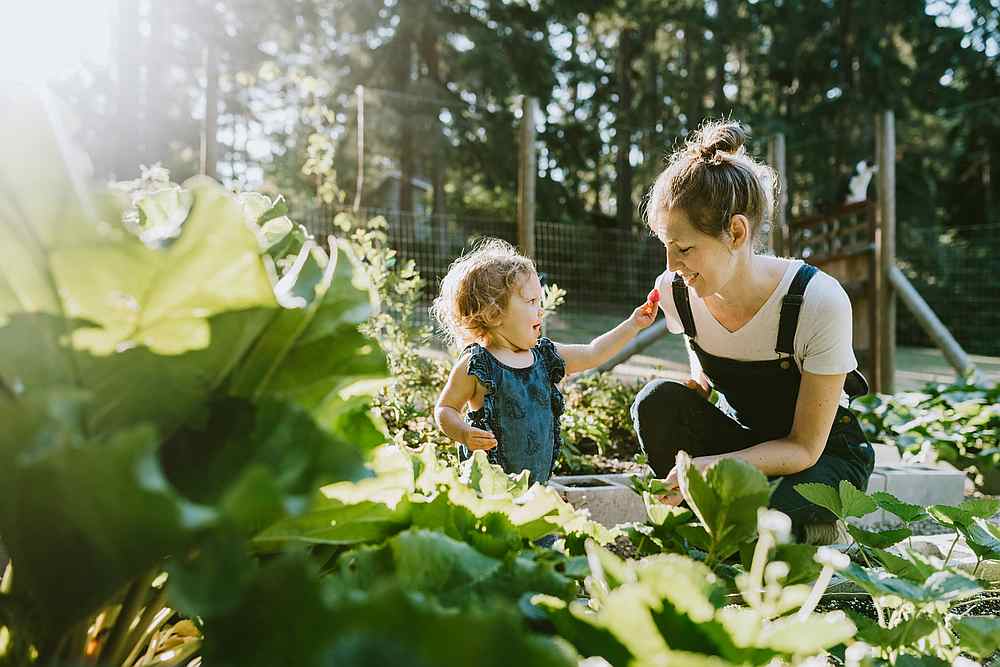 After several months in self-isolation, a majority of potential home-movers want to have a bigger garden in their next home, or at least have access to one. u00e2u20acu201d RyanJLane / IStock.com pic via AFP