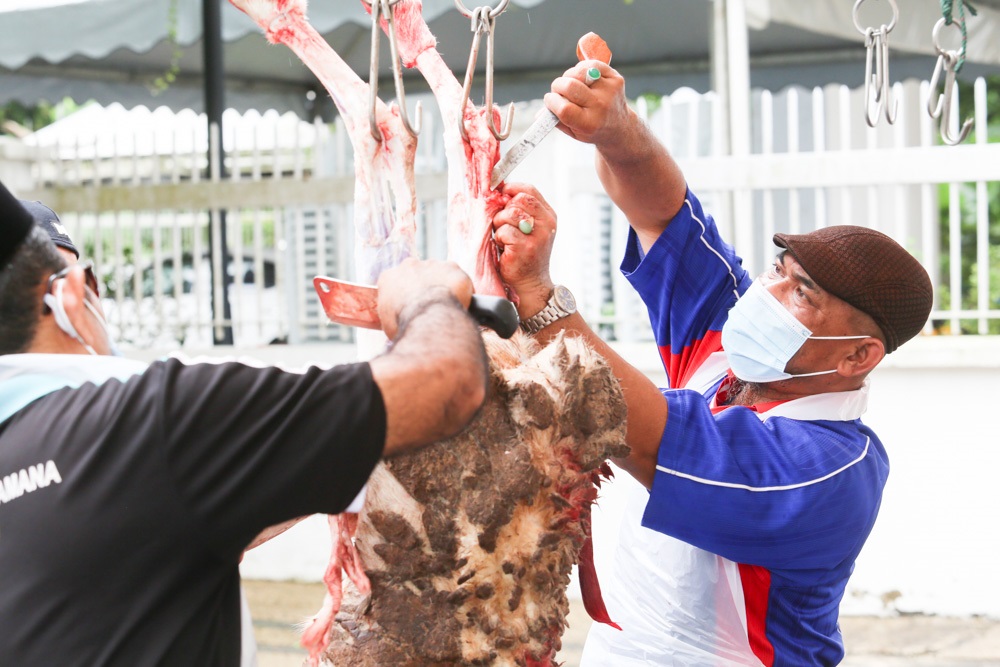 Malaysian Muslims slaughtering a lamb for Aidiladha at the National Mosque in Kuala Lumpur July 31, 2020. u00e2u20acu201d Picture by Choo Choy May