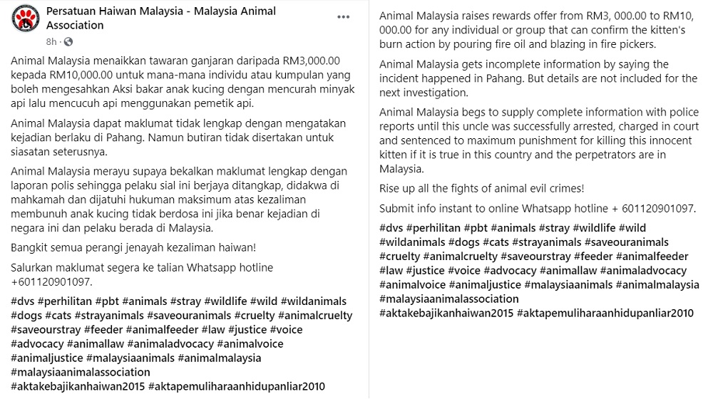 The Malaysia Animal Association is offering RM10,000 reward for anyone who can come forward with detailed information on an incident where a kitten was set ablaze in Pahang. u00e2u20acu201d Screenshot taken from Facebook/nPersatuan Haiwan Malaysia - Malaysia Animal A