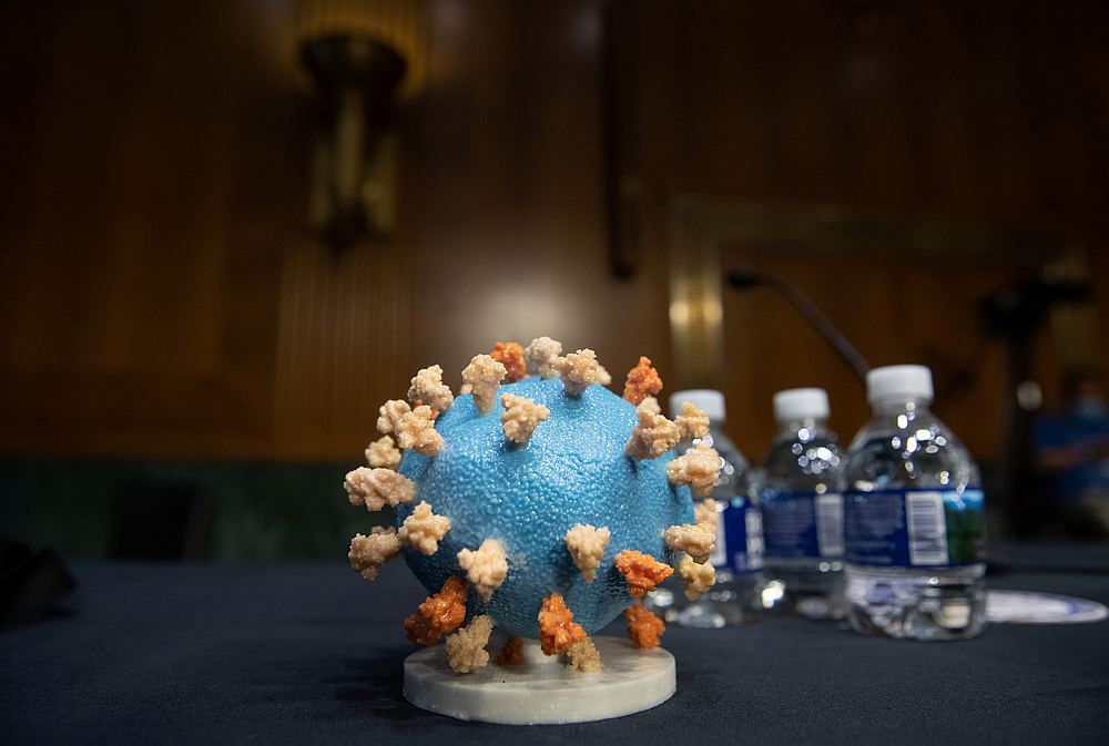 A model of SARS-CoV-2 is seen ahead of a US Senate Appropriations subcommittee hearing on the 'Operation Warp Speed' vaccine plan on Capitol Hill in Washington July 2, 2020. u00e2u20acu201d Reuters pic