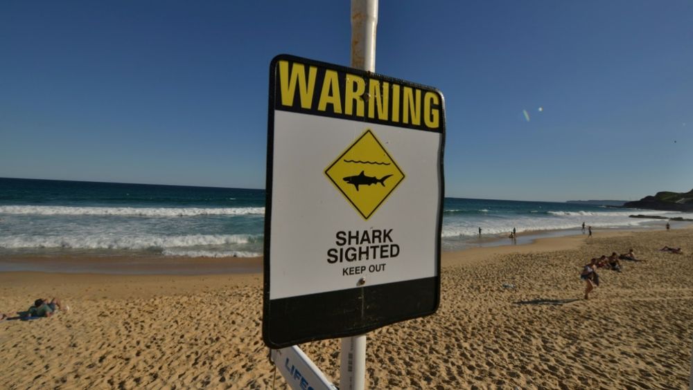 Shark attacks off Australia are rare, but the creatures are increasingly coming into contact with humans. u00e2u20acu201d AFP pic