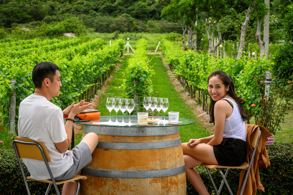 This photograph taken June 26, 2020 shows tourists waiting for the start of a wine tasting at GranMonte Vineyard and Winery in Nakhon Ratchasima, some 170km north-east of Bangkok. u00e2u20acu201d AFP pic 