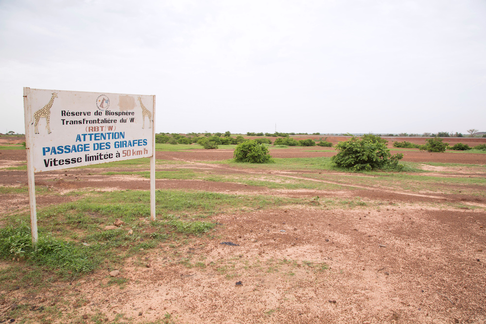 A general view of the giraffe reserve after eight people were killed by gunmen in Koure, Niger August 10, 2020. u00e2u20acu201d Reuters pic
