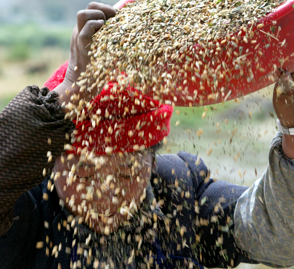 A Tibetan woman threshes barley in front of her house on the outskirts of Tsedang Town, Shannan Prefecture, in Tibet, August 22, 2003. u00e2u20acu201d Reuters pic