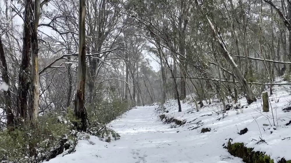 A view shows a snow-covered road in Oberon, New South Wales, Australia August 22, 2020, in this still image obtained from social media video. u00e2u20acu201d Reuters picnn