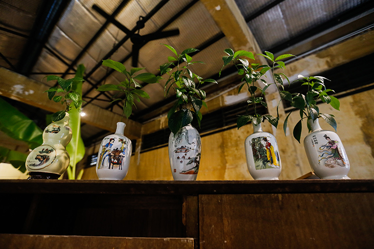 An installation of local herbs used by all the races in Malaysia.