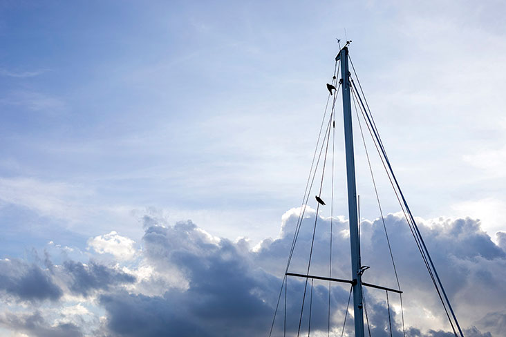 The silhouette of sailboat masts at Senibong Cove as sunset approaches
