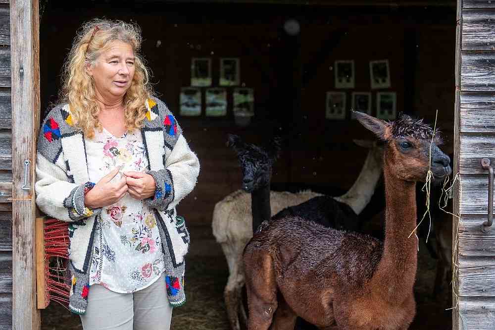 Alpaca owner Silke Lederbogen stands next to some of her animals during an animal therapy session for mentally ill criminals in Mainkofen, southern Germany August 4, 2020. u00e2u20acu201d AFP pic