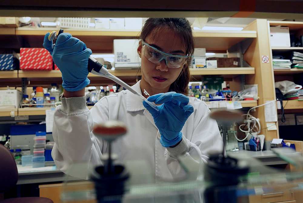 A researcher works in a lab at the Duke-NUS Medical School, which is developing a way to track genetic changes that speed testing of vaccines against Covid-19, in Singapore March 23, 2020. u00e2u20acu201d Reuters pic