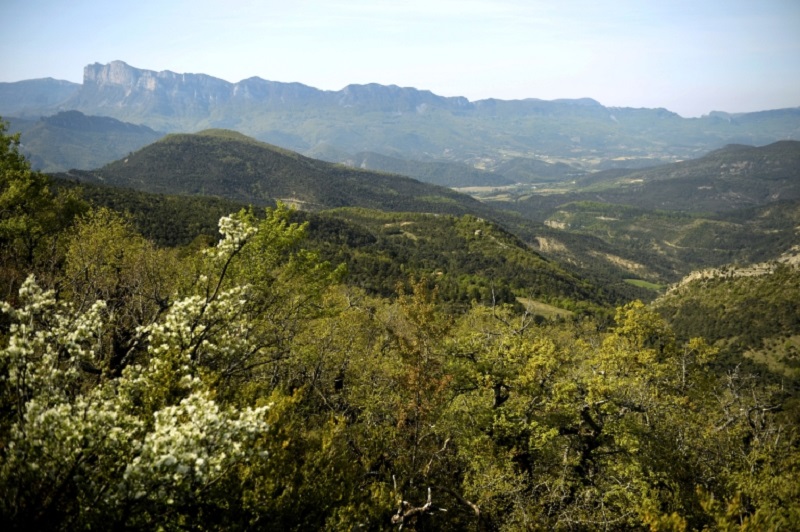 The Grand Barry nature reserve in France's southeastern corner is undertaking one of Europe's largest experiments in rewilding. u00e2u20acu2022 AFP pic