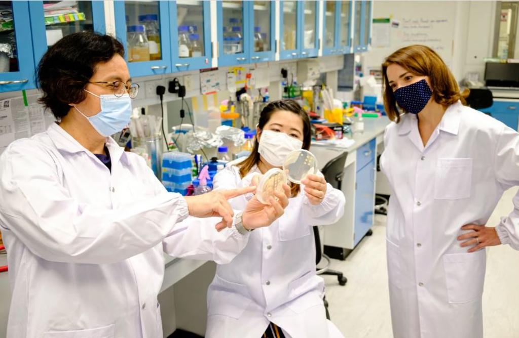 (From left) Professor Mary Chan, Dr Adeline Yong and Associate Professor Kimberly Kline, the team from the Nanyang Technological University that developed a synthetic peptide. u00e2u20acu2022 Picture courtesy of Nanyang Technological University/TODAY