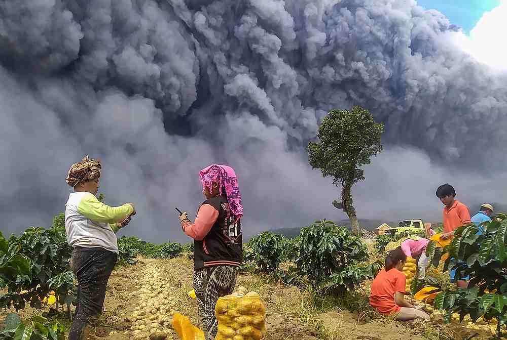 Locals harvest their potatoes as Mount Sinabung spews volcanic ash in Karo, North Sumatra province, Indonesia August 10, 2020. u00e2u20acu201d Antara Foto via Reuters