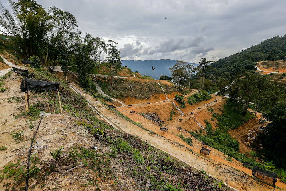 Illegally conducted earthworks can be seen here in Bukit Relau September 14, 2020. u00e2u20acu201d Picture by Sayuti Zainudin