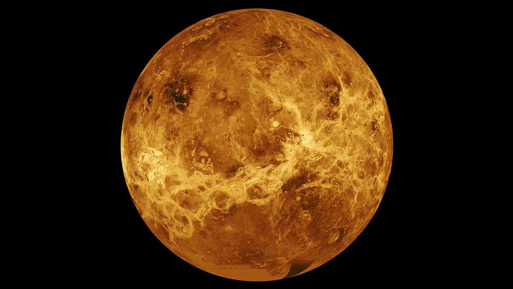 Data from Nasa's Magellan spacecraft and Pioneer Venus Orbiter is used in an undated composite image of the planet Venus. u00e2u20acu201d NASA/JPL-Caltech/Handout via Reuters
