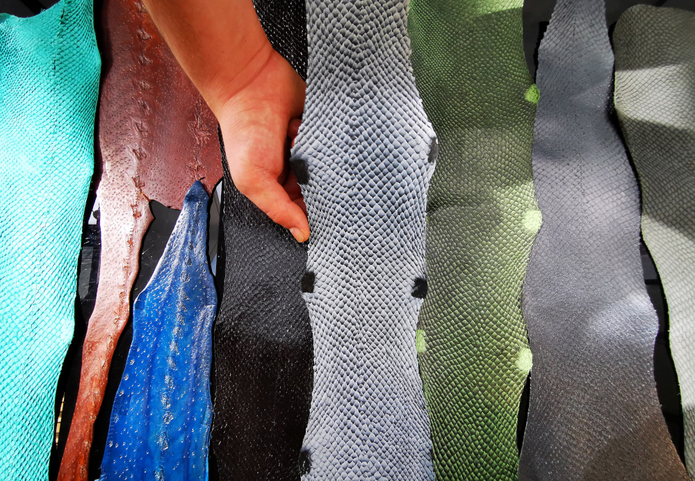 Ictyos co-founder and President Benjamin Malatrait shows sheets of salmon and sturgeon leather at the company’s showroom in its workshop in Saint-Fons, near Lyon, France, September 17, 2020. — Reuters pic 