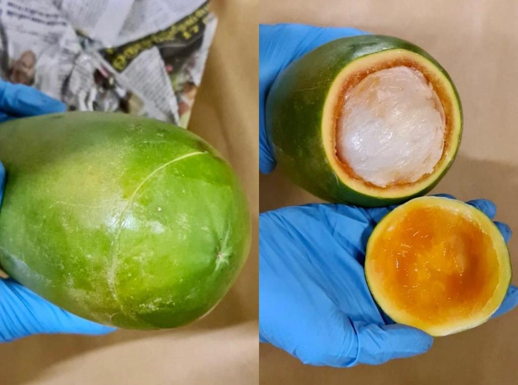 Anti-narcotics officers intercepted a vehicle where a few bundles of drugs were found hidden in a papaya. u00e2u20acu2022 Picture via Central Narcotics Bureau via TODAY