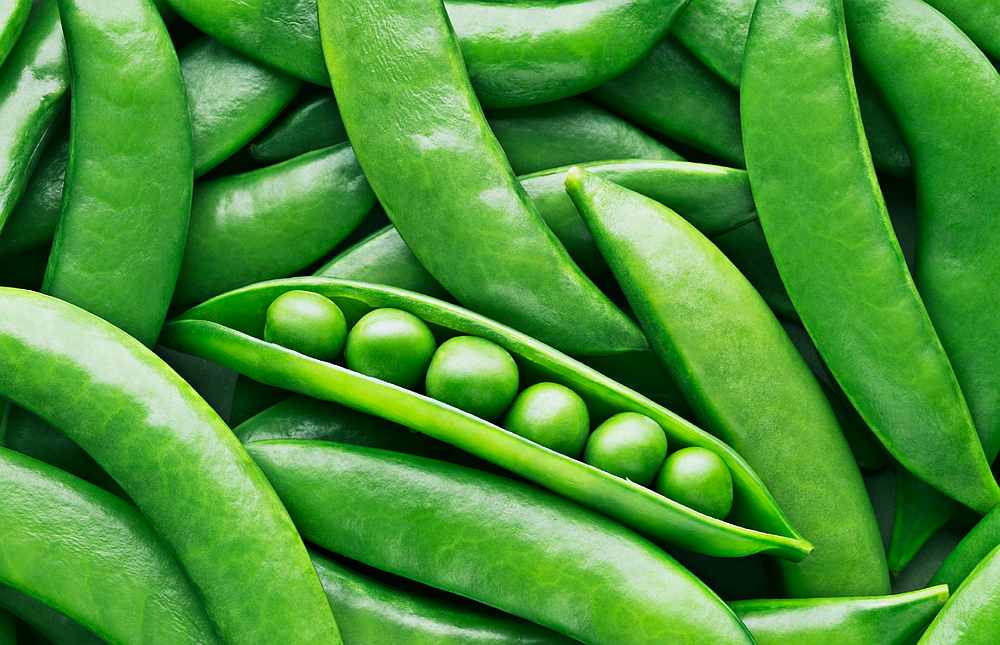 Pea derived foods and drinks will likely become future staples. u00e2u20acu201d Martin Barraud / IStock.com pic via AFP