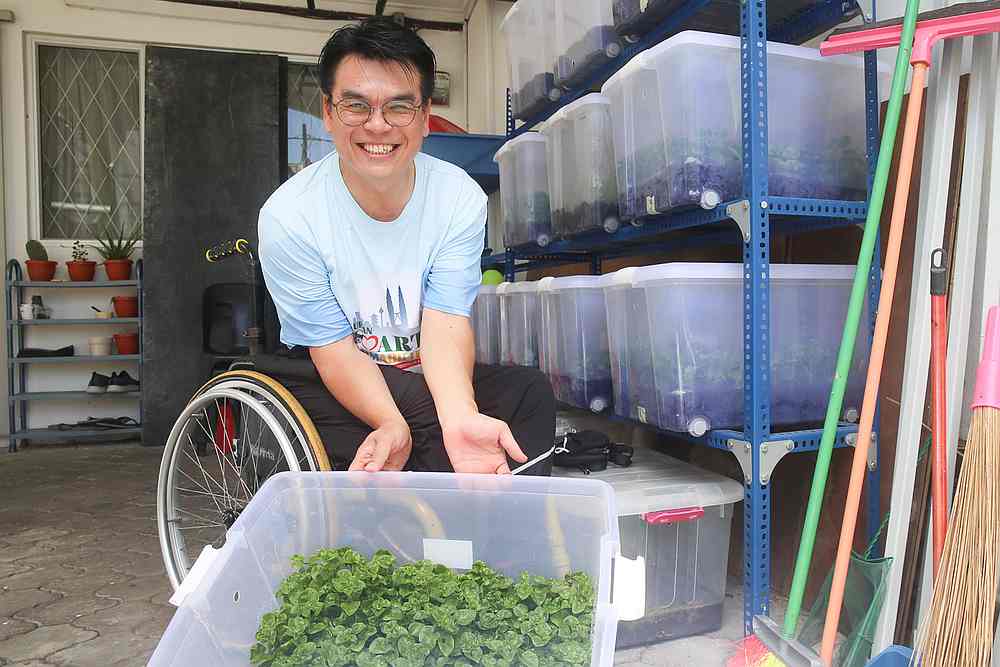 Dr Billy Tangu00e2u20acu2122s organic terrarium boxes can last for up to three months before being replenished. u00e2u20acu201d Picture by Choo Choy May