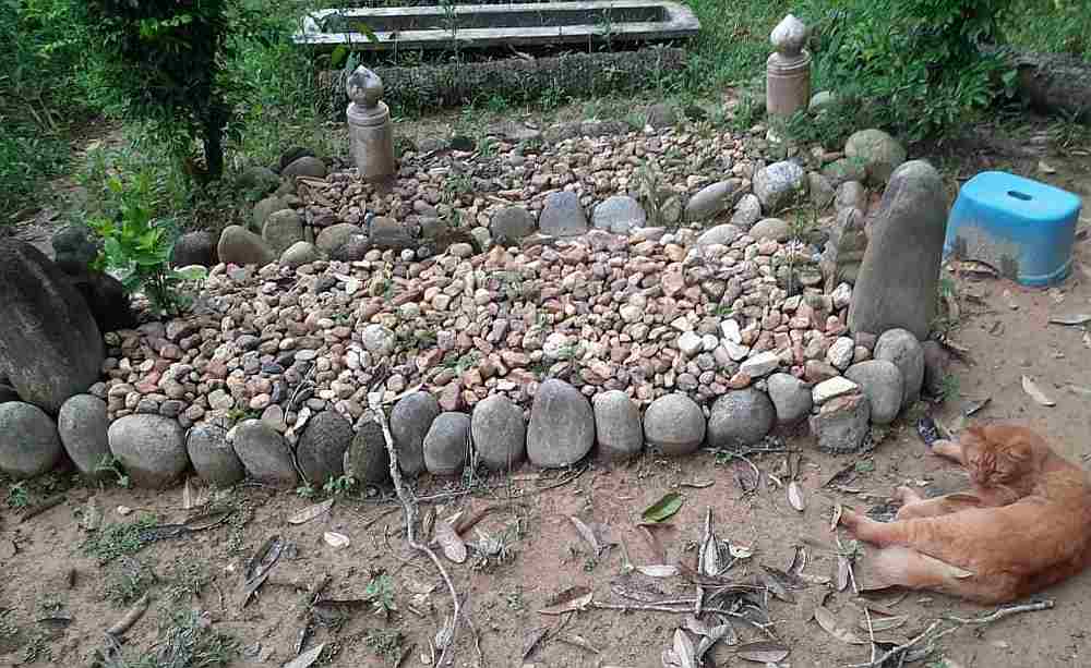 A loyal Nana spending time next to its owner's grave. — Picture courtesy of Hazlynn Nozi