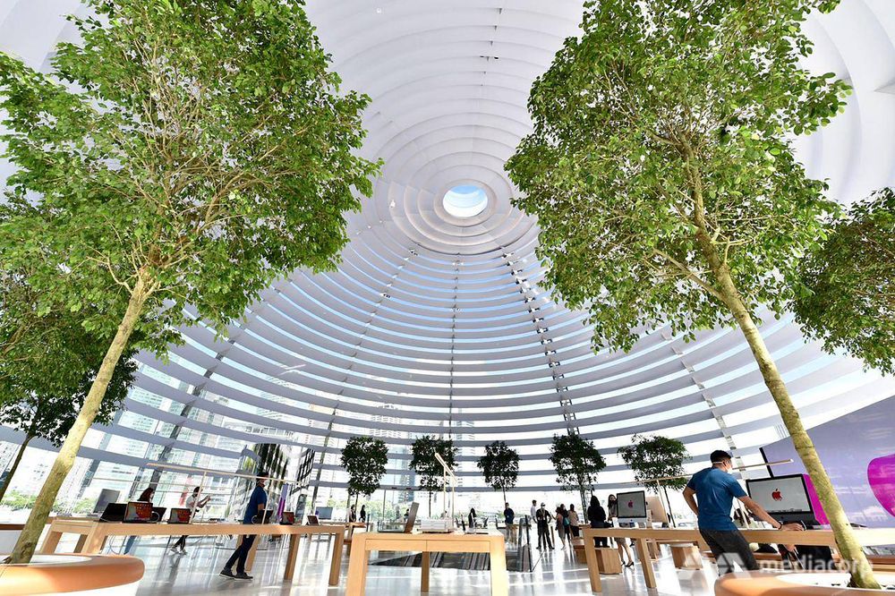 Visitors who enter the store — which opens at 10am on Thursday and operates on an appointment-only basis that day — will “encounter a dramatic reveal into the massive volume of the dome” where they may browse Apple’s products. — Jeremy Long/CNA pic via TODAY
