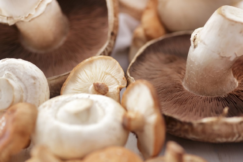 In the future, mushrooms could be used to create eco-friendly packaging. u00e2u20acu2022 Istock.com/AFP pic
