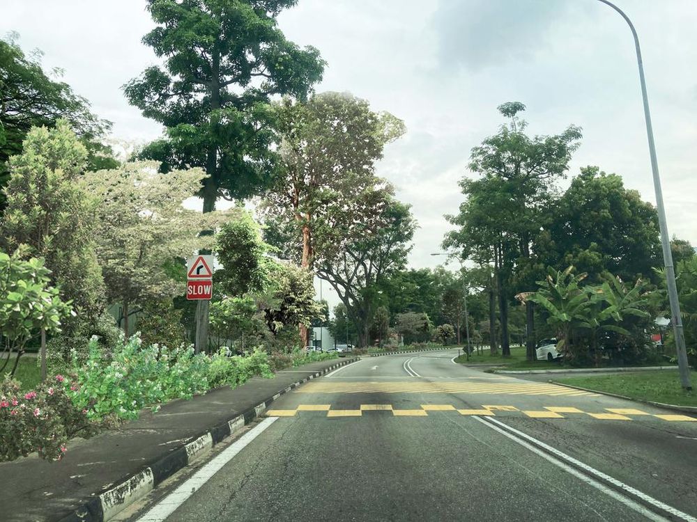 An artistu00e2u20acu2122s impression of Upper Changi Road North after the completion of the upcoming green corridor connecting East Coast Park with Changi Beach Park. u00e2u20acu201d National Parks Board picture via TODAY