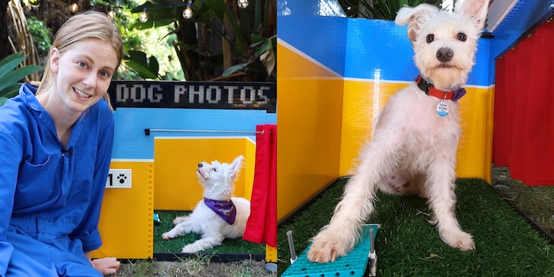 The creative invention lets Giertzu00e2u20acu2122s dog practise her selfie skills. u00e2u20acu201d Screengrab from YouTube/Simone Giertz