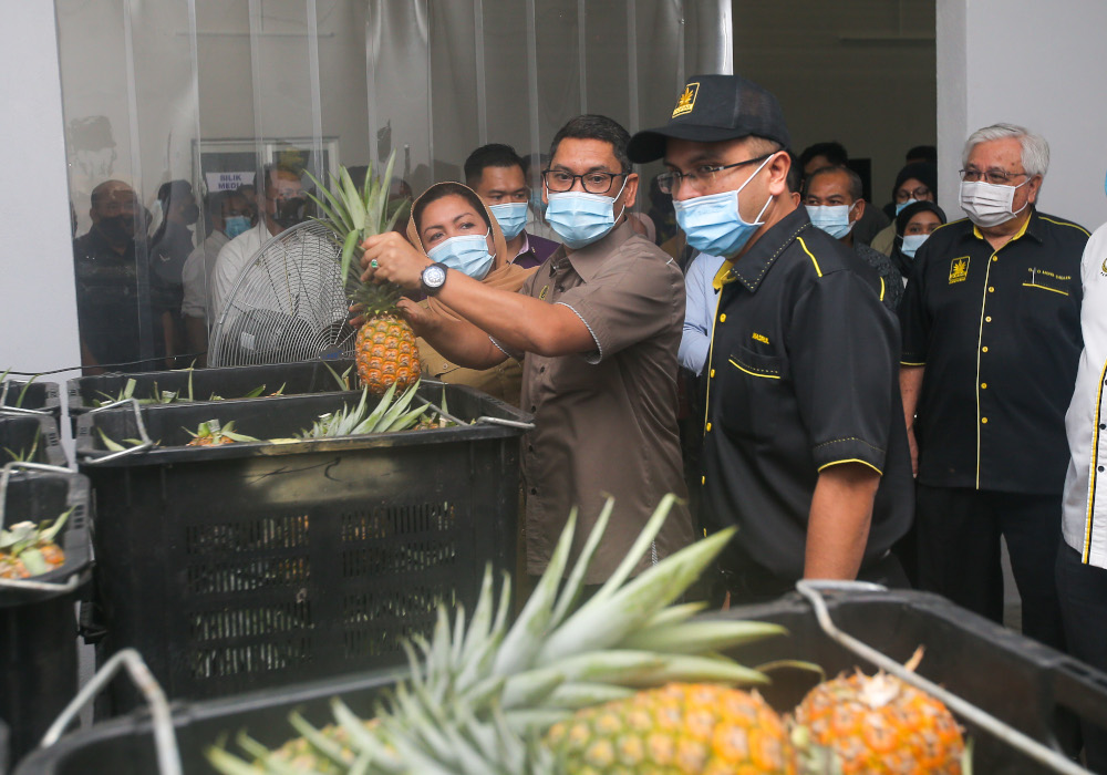 Perak Mentri Besar Datuk Seri Ahmad Faizal Azumu visits the Gopine pineapple processing and collection centre at RTC Gopeng October 8, 2020. u00e2u20acu201d Picture by Farhan Najib