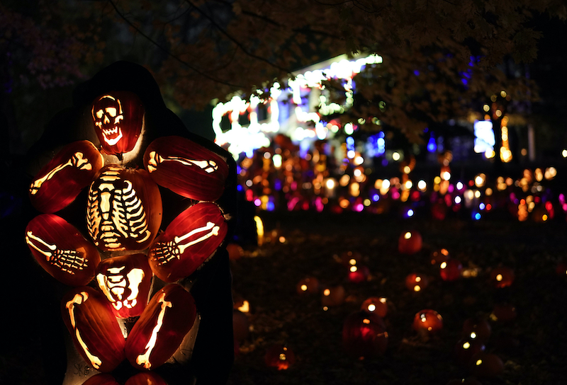 Halloween decorations are seen on display during the Great Jack O'Lantern Blaze in Croton-on-Hudson, New York, before Halloween. u00e2u20acu201d AFP pic