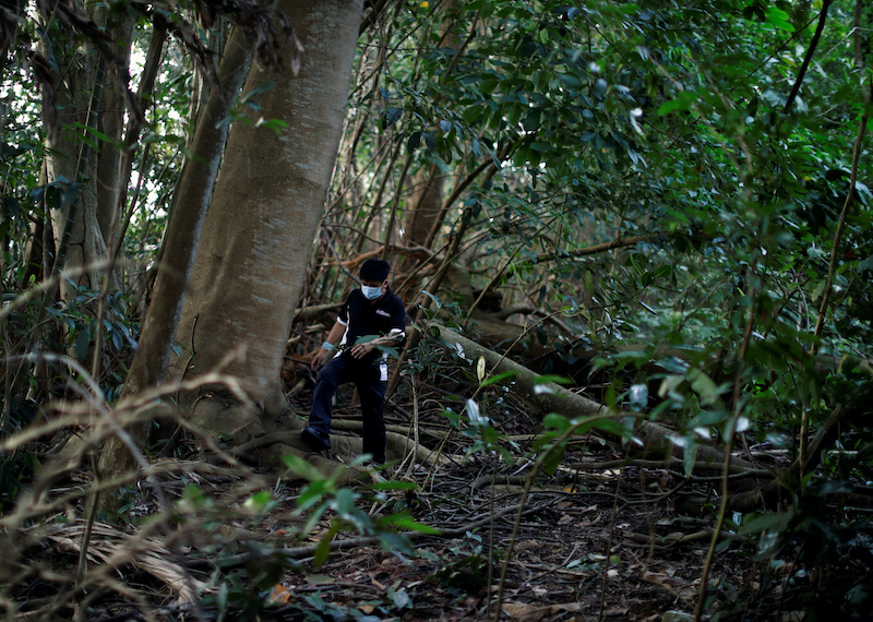 Paranormal investigator Charles Goh looks for signs of former settlements in a jungle near Yishun, in Singapore October 30, 2020. u00e2u20acu201d Reuters pic