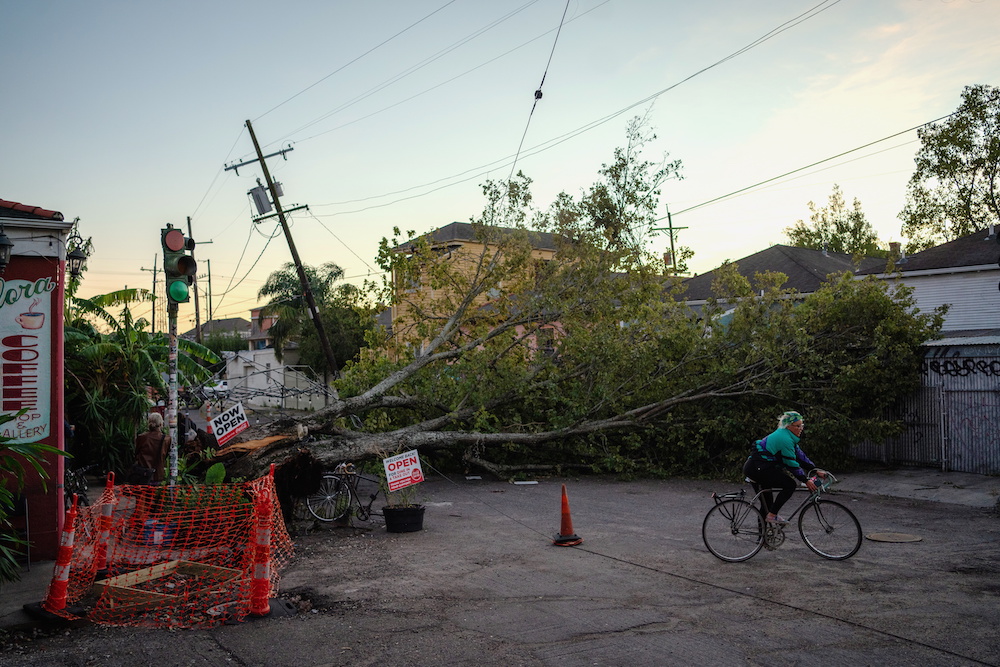 A downed tree lies in the street outside of Flora Gallery and Coffee Shop after Hurricane Zeta swept through New Orleans, Louisiana October 29, 2020. u00e2u20acu201d Reuters pic