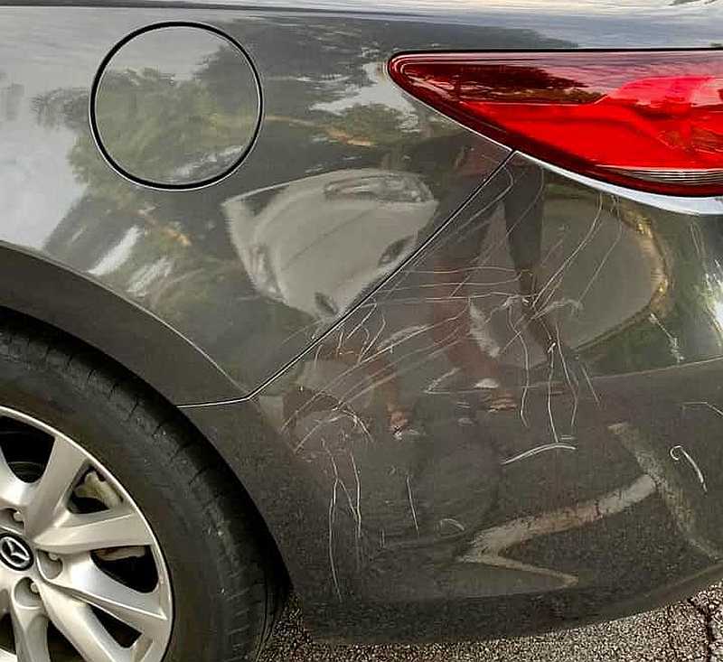 Aftermath of the peacock attack in Singapore. u00e2u20acu201d Picture courtesy of Facebook/ Motorist Singapore