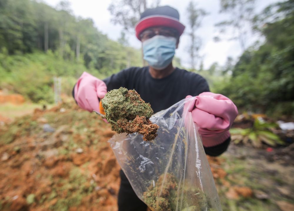 Sahabat Alam Malaysia field officer Meor Razak Meor Abdul Rahman collects a sample of the unknown waste from the grounds of the Du00e2u20acu2122Lereng Adventure Camp and Resort reporters in Chemor October 7, 2020. u00e2u20acu201d Picture by Farhan Najib