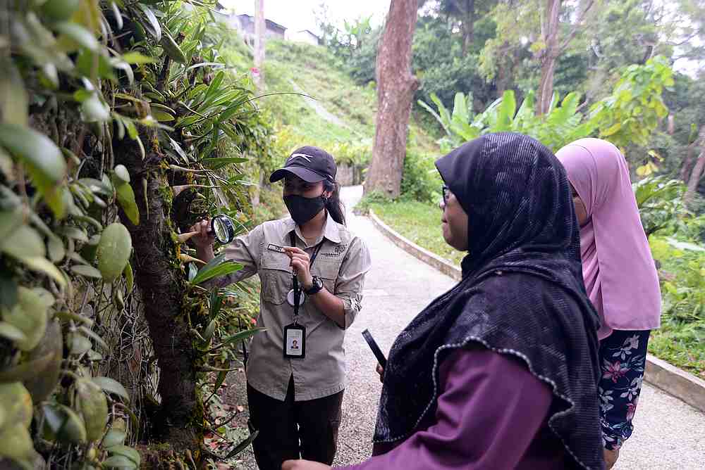 Nature guide Ng Chai Yin (left) showing participants the flora details using magnifying glass during the session at The Habitat Penang Hill. u00e2u20acu201d Picture by Steven Ooi