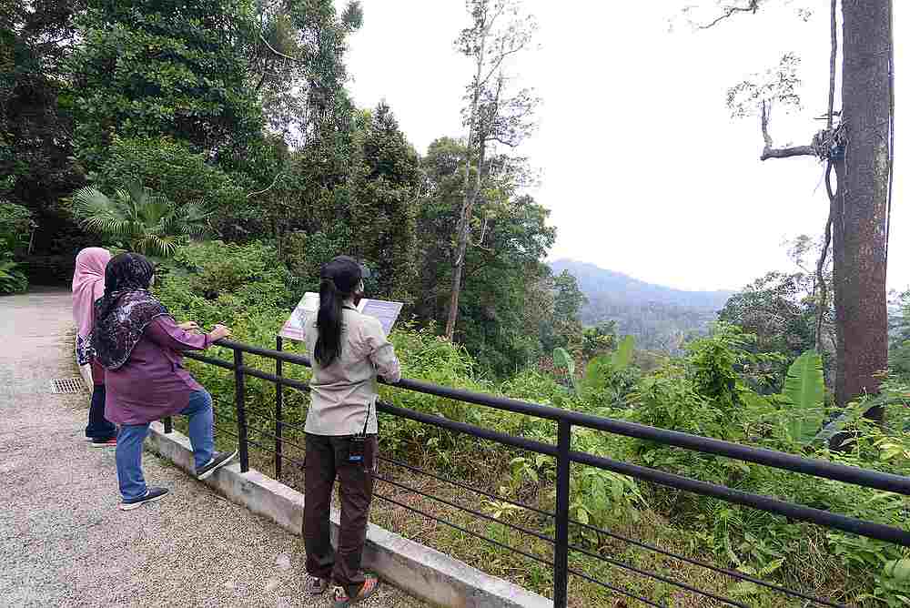 Participants appreciate sounds of nature such as those made by birds and insects. — Picture by Steven Ooi